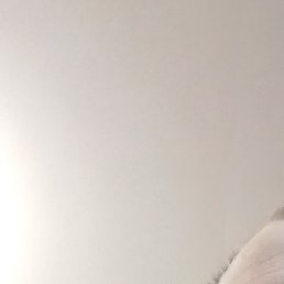 �����, ������, 43 ����