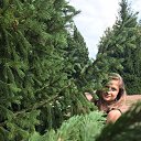 ���� ����, ���������, 39 ��� - ��������� 27 �������� 2024 � ������ ���� ����������