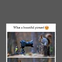 ���� �������., ������, 57 ��� - ��������� 17 ������ 2024 � ������ ������ ��������