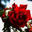 ���� Aleksandr, �����������, 64 ���� - ��������� 27 ���� 2025 � ������ ������ ��������