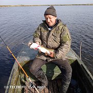 ��������, 57 ���, ���������