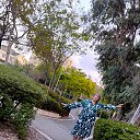 ���� ����, �����, 78 ��� - ��������� 26 ������ 2026 � ������ ���� ����������