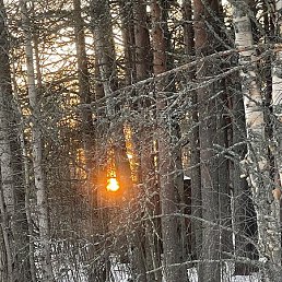 ����, ������������, 59 ���