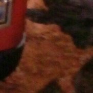 ����, 31 ���, ������