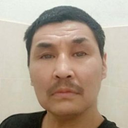 ������, �����-���������, 46 ���