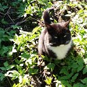 ���� Vladimir, ������, 68 ��� - ��������� 26 ������� 2023 � ������ ���� ������� ������ - ������!�