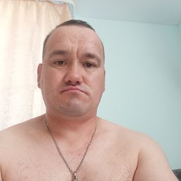 ���, 39 ���, ���������