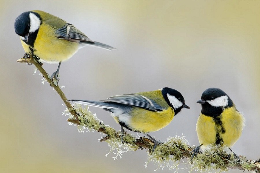 ��� ���� - 22 ������� 2025 � 18:01