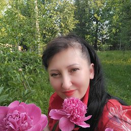 , 41, 