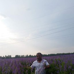 ����� ������, ������, 53 ����