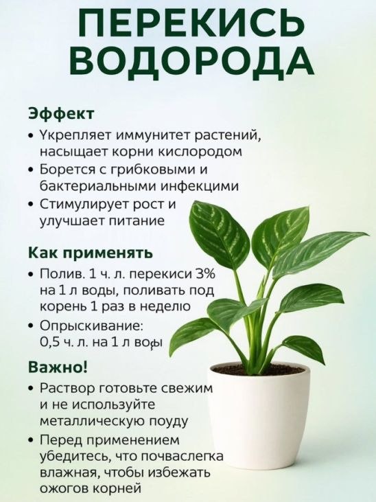 ���� ���������� - 5 ������ 2026 � 13:14