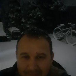 , 32, 