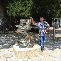, 42, 