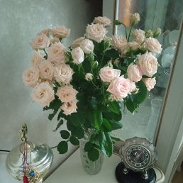  Lena, , 67  -  3  2025