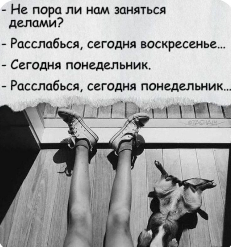 �������� ������ - 18 ��� 2026 � 01:39