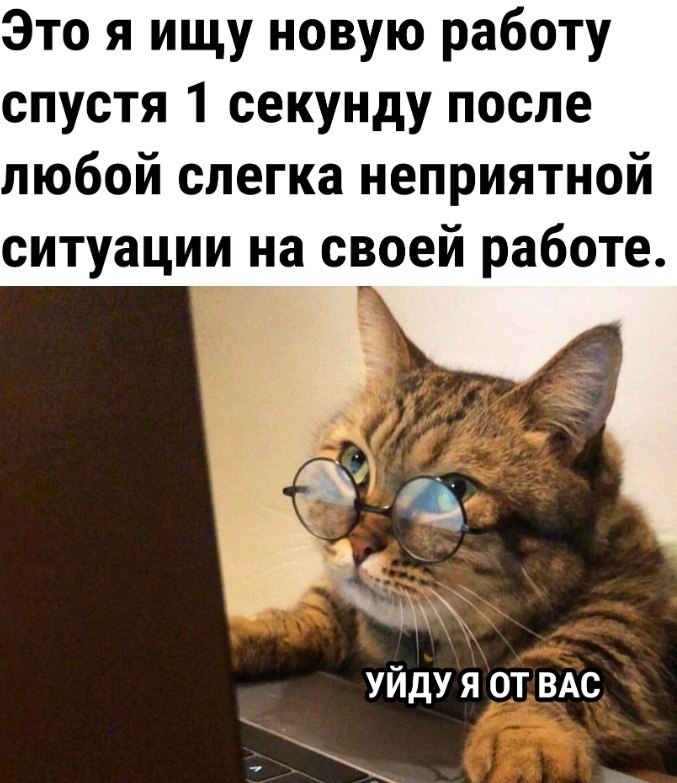 ОБО ВСЕМ - 16 октября 2025 в 11:10