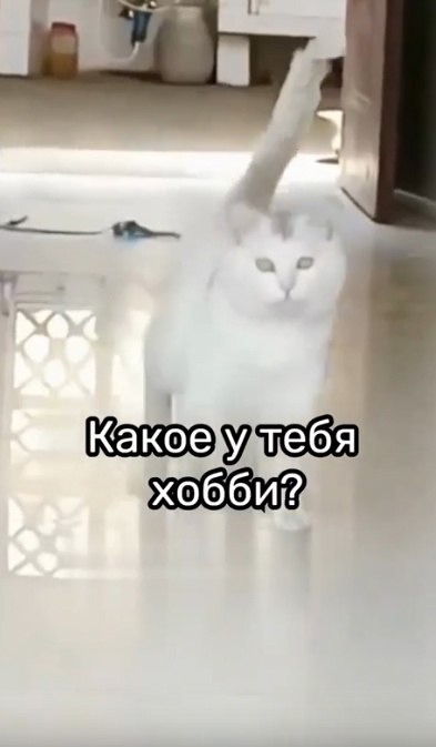        - 2