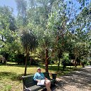 ���� ����, ���������, 52 ���� - ��������� 29 ���� 2025 � ������ ���� ����������