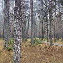 ���� �����, �������� - ��������� 17 ������� 2025