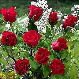 ���� ����, ������, 54 ���� - ��������� 22 ������� 2023