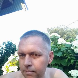 , 40, 