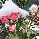 ���� ����, �������, 45 ��� - ��������� 14 ������ 2024 � ������ ������ ��������
