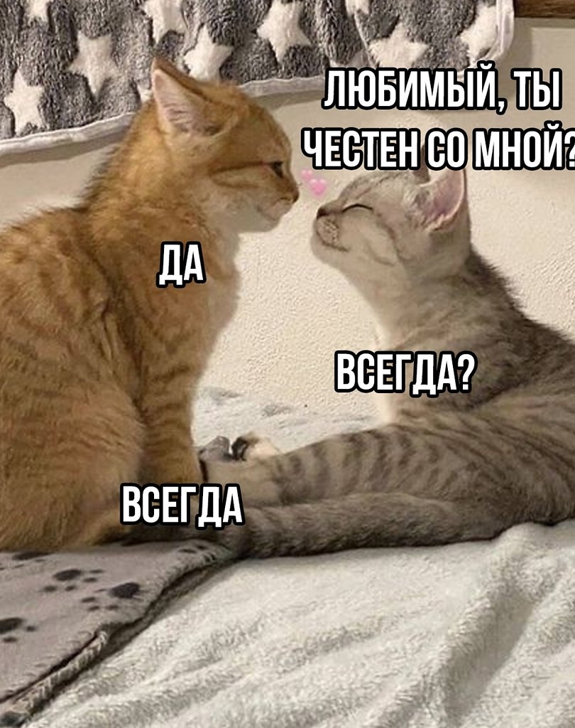 Вот они настоящие чувства