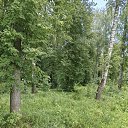 ���� ������, ������ - ��������� 6 ���� 2026 � ������ ���� ����������