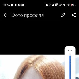 ����, �����������, 43 ����