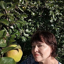 �����, ���������, 60 ���