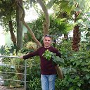 ���� Alexander, ������, 51 ��� - ��������� 7 ����� 2024