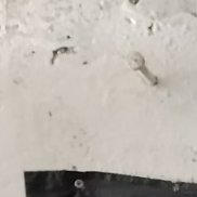 �����, 18 ���, �������