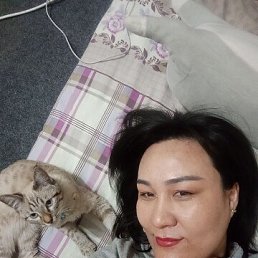 ���� ������, ������, 42 ���� - ��������� 22 ������� 2026