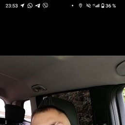 , 33,  