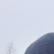 ��������, 43 ����, �����������