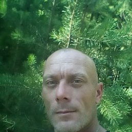 , 43, 