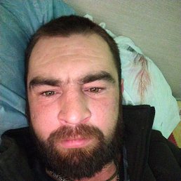 , 33, 