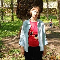 �������/�/238, ���������, 67 ���