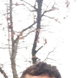 ��������, 33 ����, ��������