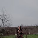 ���� �����, ����� �������, 66 ��� - ��������� 1 ������ 2026 � ������ ���� ����������