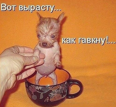 :)