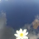 ���� ���������, �����������, 54 ���� - ��������� 27 ������� 2024