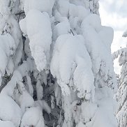 ����� �, 43 ����, ������