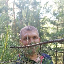 ���� ���, ������, 49 ��� - ��������� 5 ������ 2024