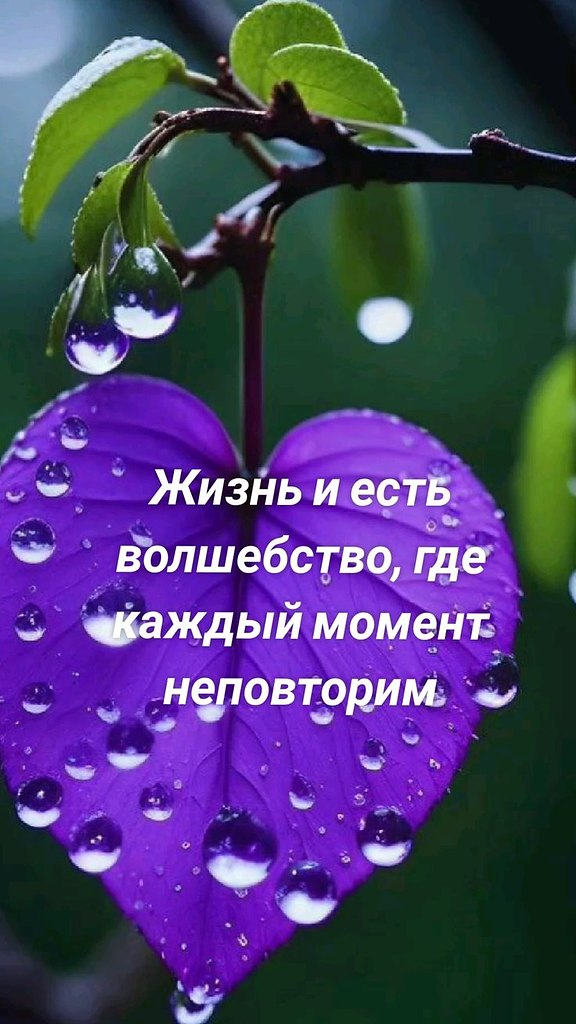 ₪╬═►  ||  ||  ◄═╬₪ - 4  2024  09:53