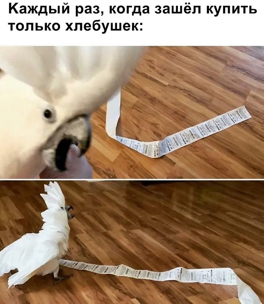 ☆ ☆ - 9  2025  16:20