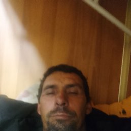 , 49, 
