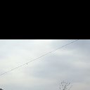 ���� ��������, �����-���������, 46 ��� - ��������� 14 ������ 2026 � ������ ���� ����������