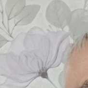 ��������, 65 ���, ������