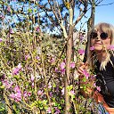 ���� ������!, �����������, 52 ���� - ��������� 5 ������ 2026 � ������ �2025�